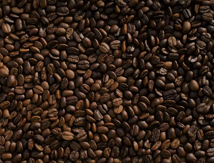 Aceh Gayo Anaerobic Slow Dry 250g